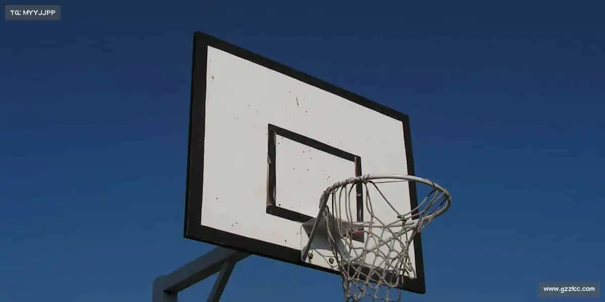 行业领先的理由